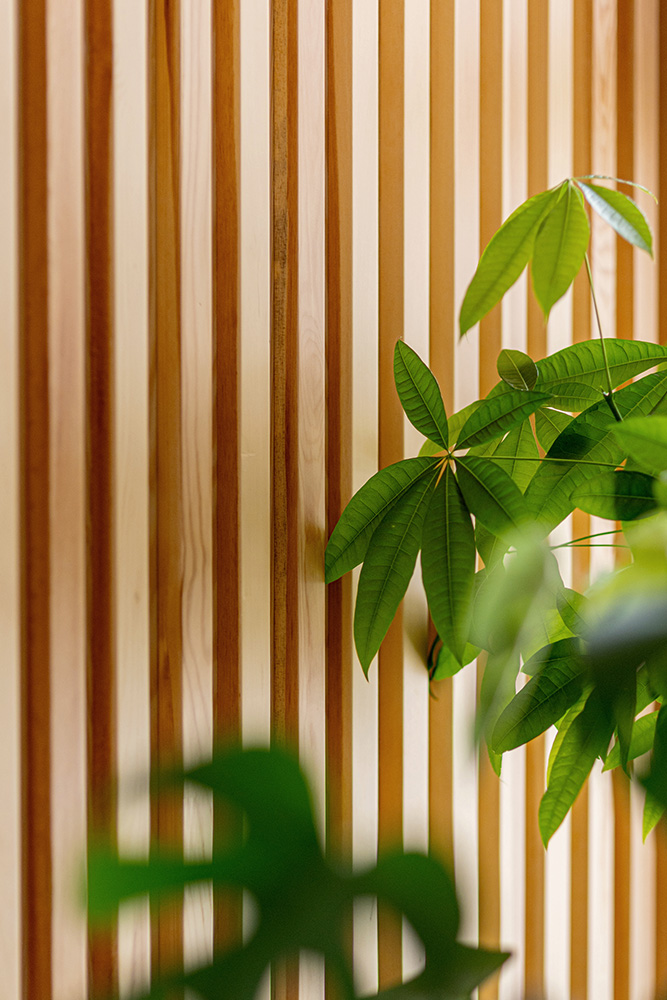 Casa La Ronda Raices Reforma interior de vivienda en Teruel - Arquitectura